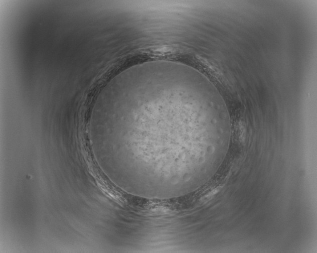 X0000073930913200608111156