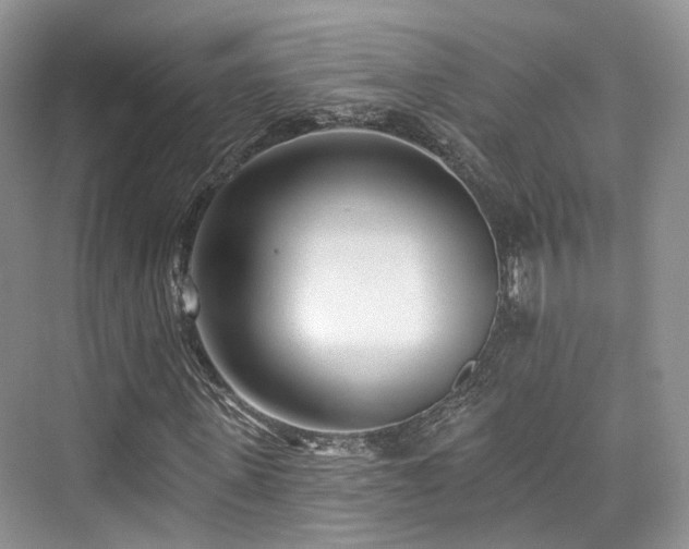 X0000073930915200608111156