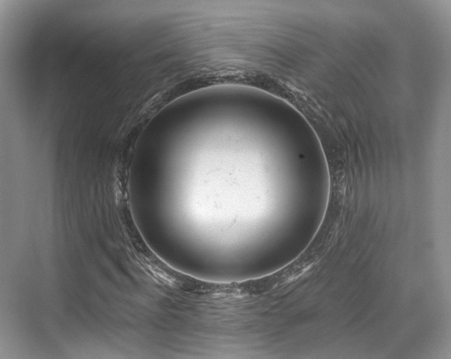 X0000073930916200608111156