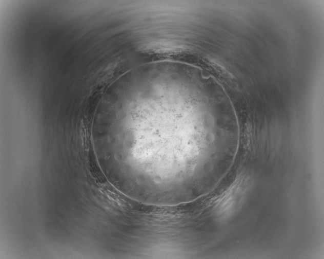 X0000073930917200608111156