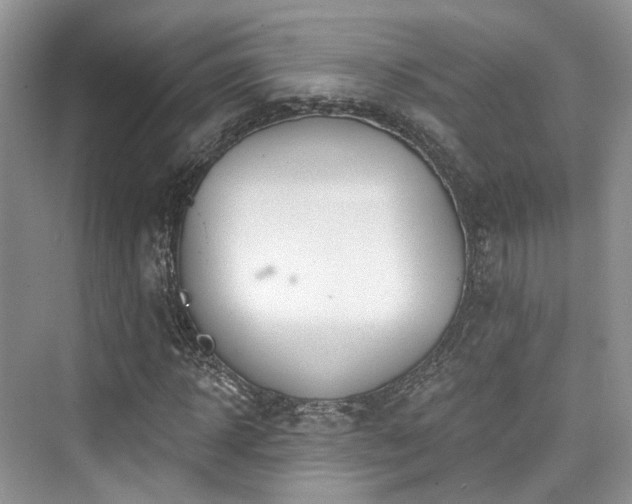 X0000073930918200608111156