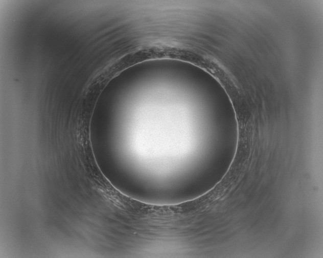 X0000073930919200608111156