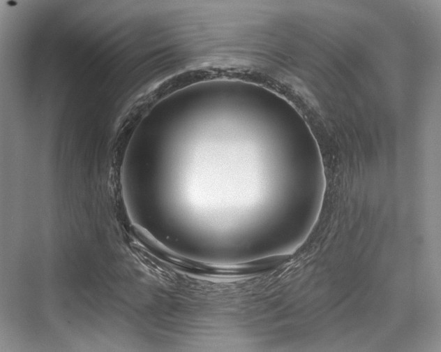 X0000073930920200608111156