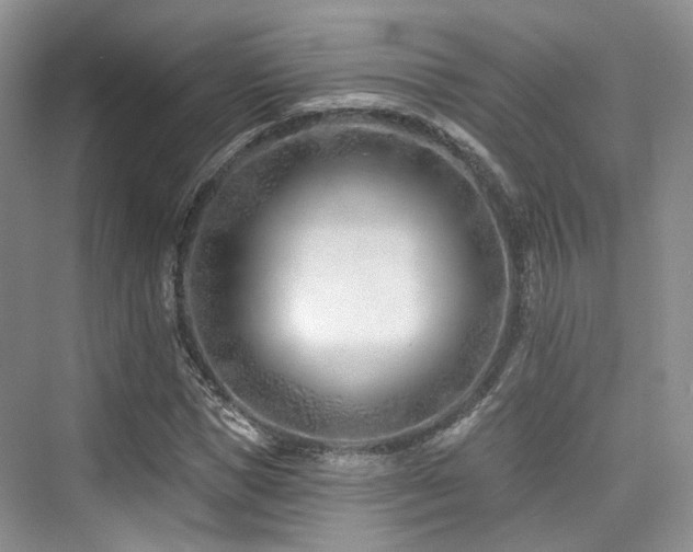 X0000073930921200608111156