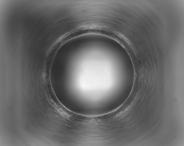 X0000073930922200608111156