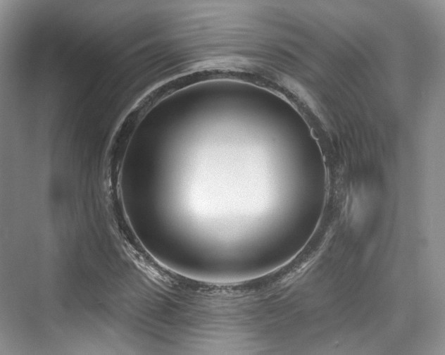 X0000073930923200608111156