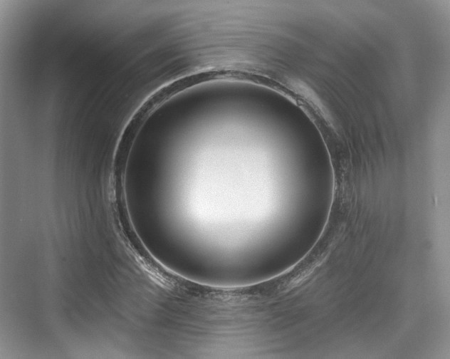 X0000073930924200608111156