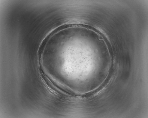 X0000073930925200608111156