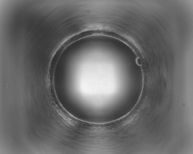 X0000073930927200608111156