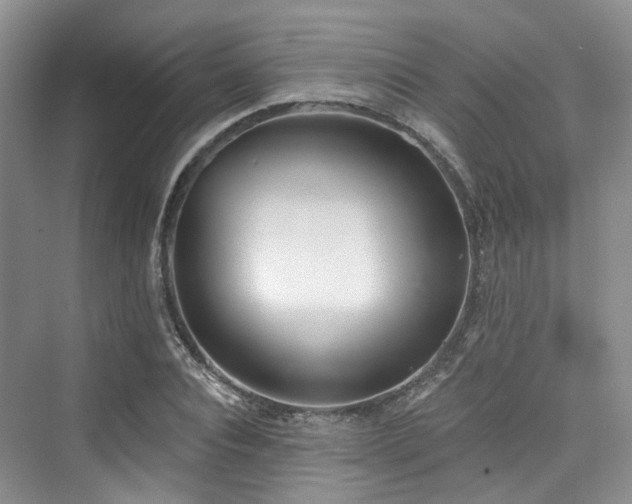 X0000073930928200608111156