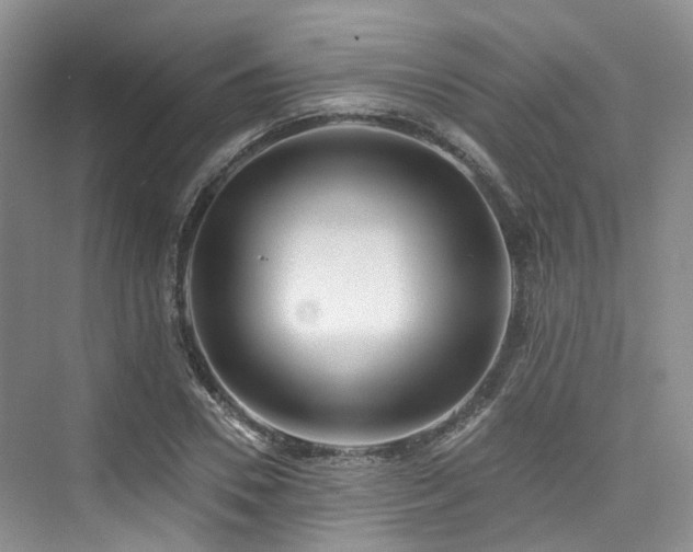 X0000073930930200608111156