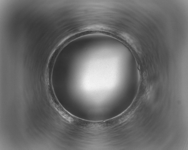 X0000073930931200608111156