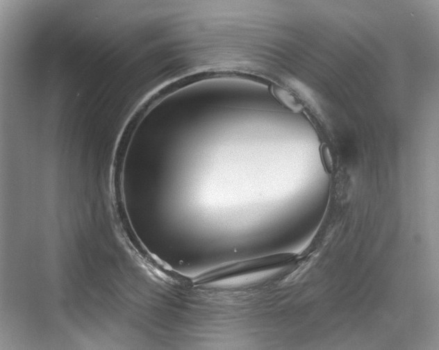 X0000073930932200608111156