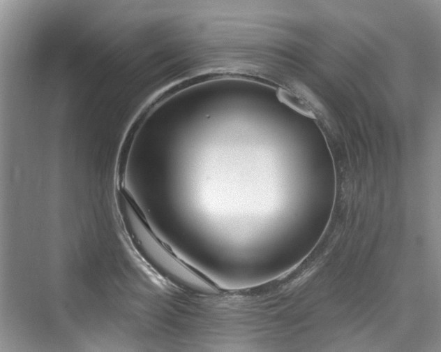 X0000073930940200608111156