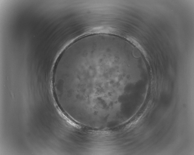 X0000073930941200608111156