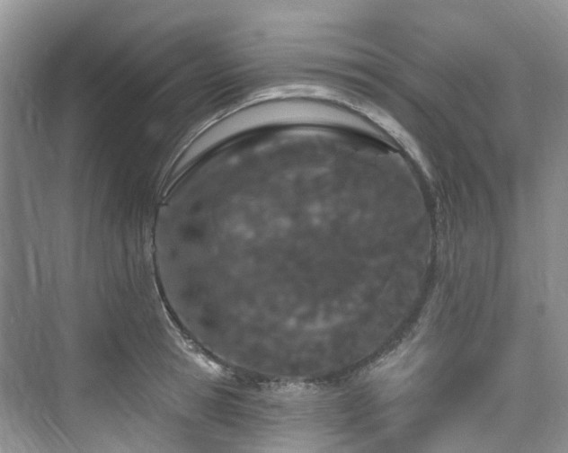 X0000073930945200608111157