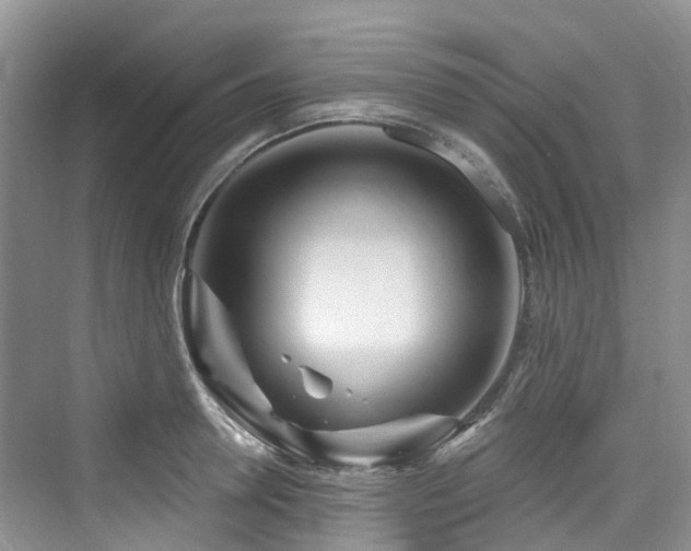 X0000073930946200608111157