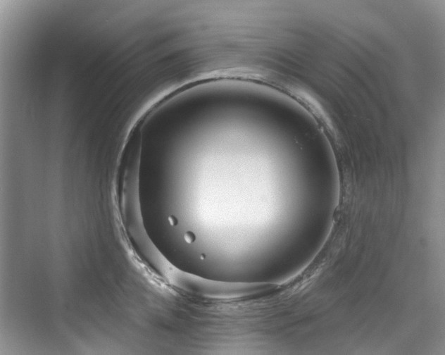 X0000073930952200608111157