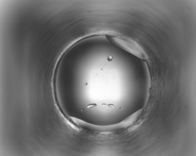 X0000073930959200608111157