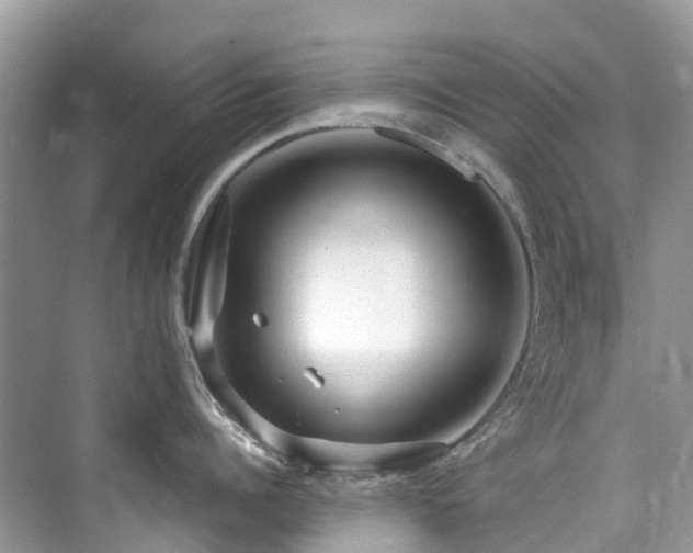 X0000073930960200608111157