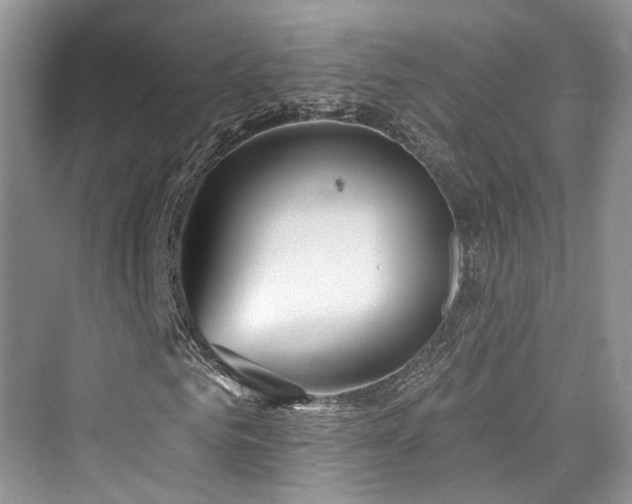 X0000073930961200608111156