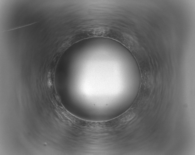 X0000073930962200608111156