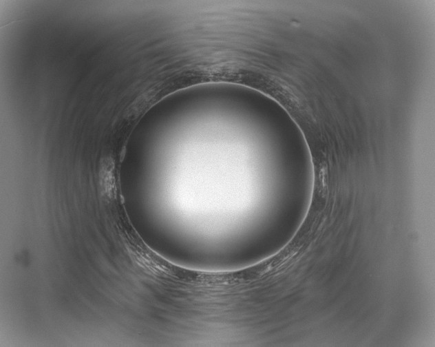 X0000073930963200608111156