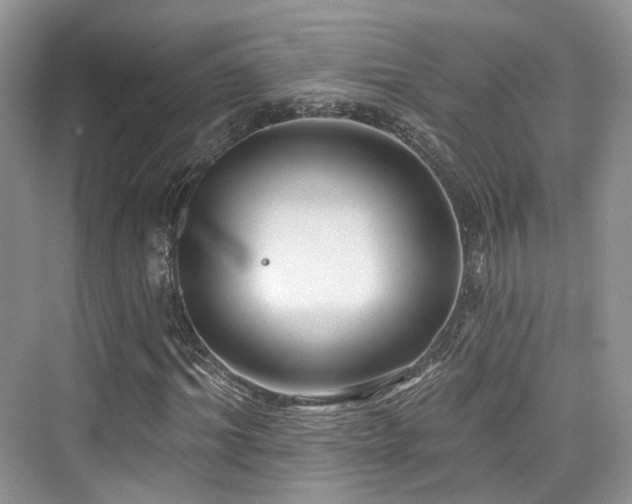 X0000073930964200608111156