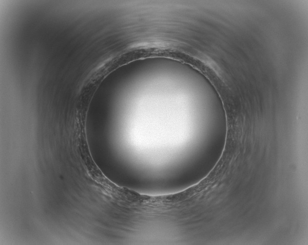 X0000073930967200608111156