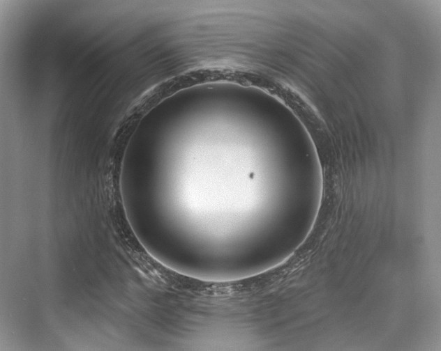 X0000073930968200608111156