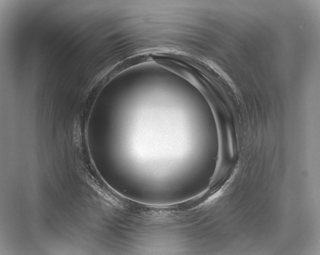 X0000073930969200608111156