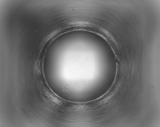 X0000073930970200608111156