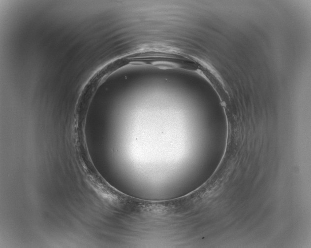 X0000073930971200608111156