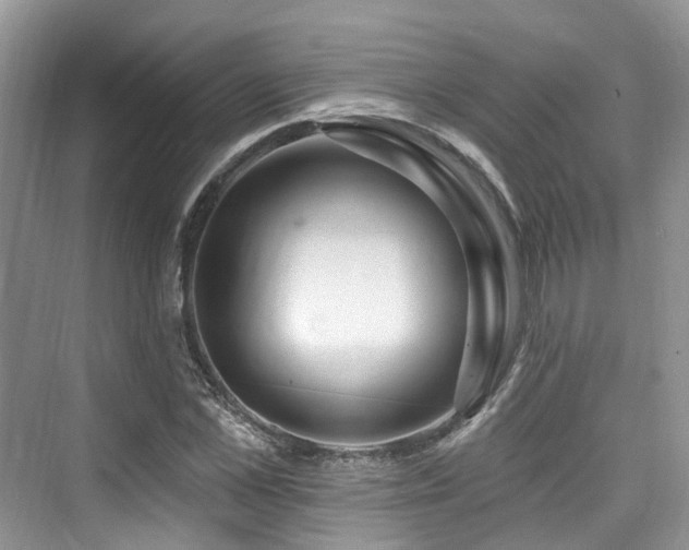 X0000073930973200608111156