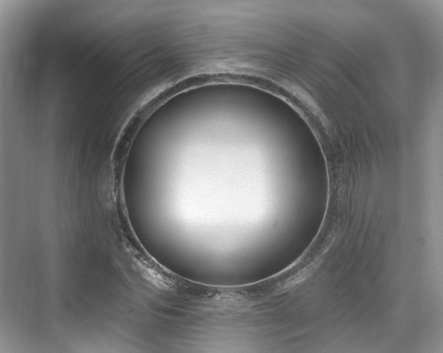 X0000073930974200608111156