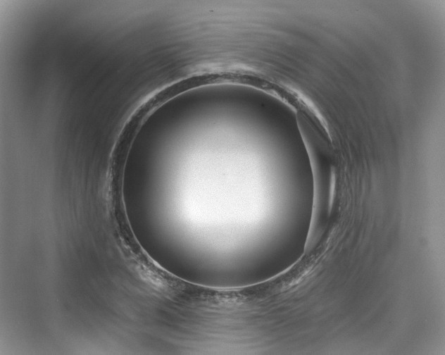 X0000073930975200608111156