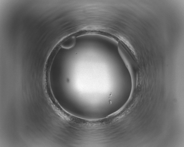 X0000073930976200608111156