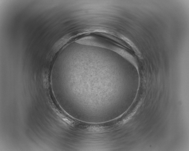 X0000073930977200608111156