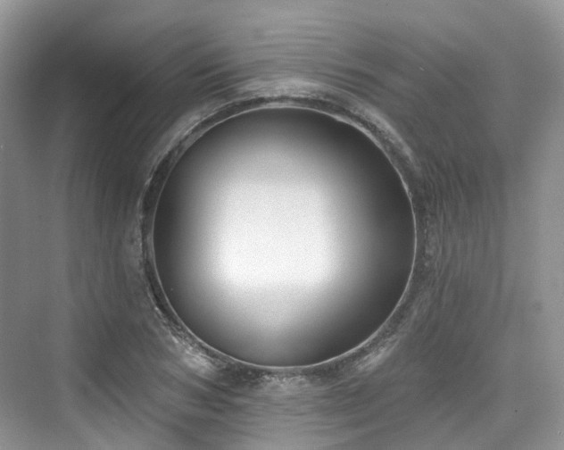 X0000073930978200608111156