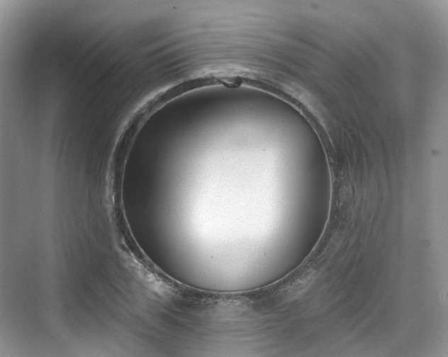 X0000073930979200608111156