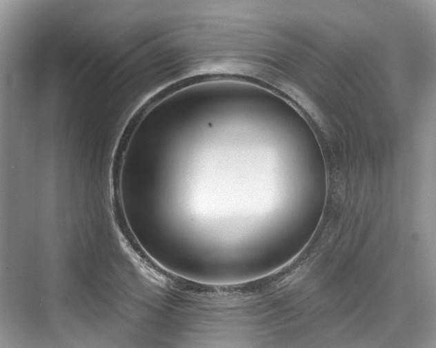 X0000073930980200608111156