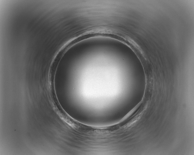 X0000073930981200608111156