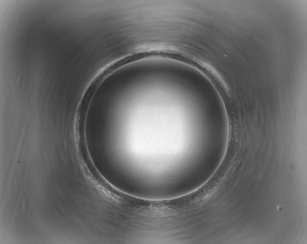 X0000073930983200608111156