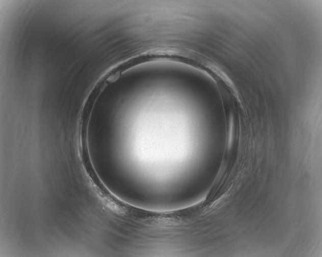 X0000073930984200608111156