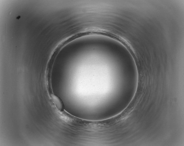 X0000073930987200608111156