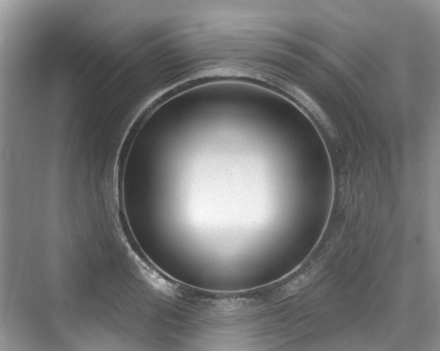 X0000073930988200608111156