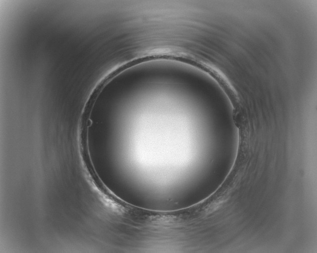 X0000073930991200608111155