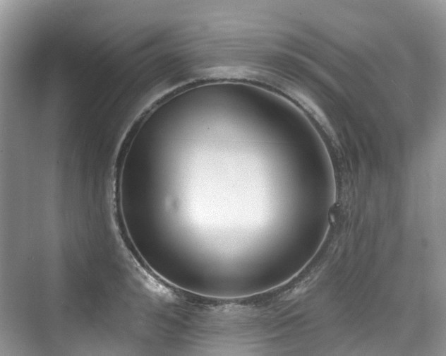 X0000073930992200608111155