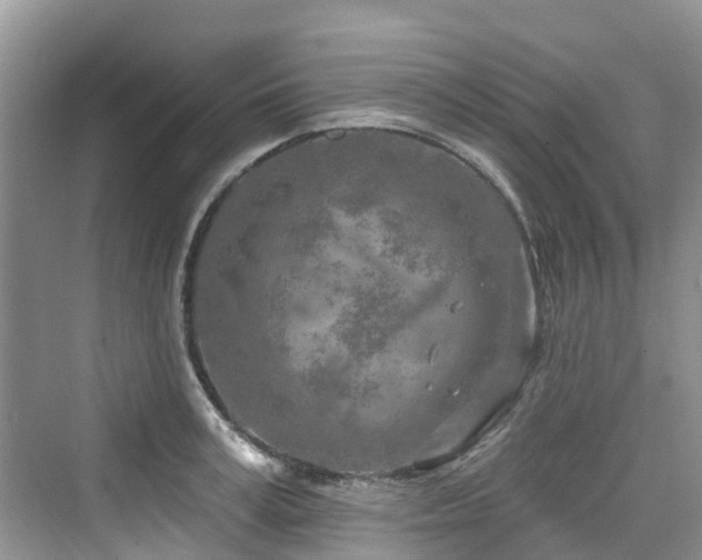 X0000073930995200608111155