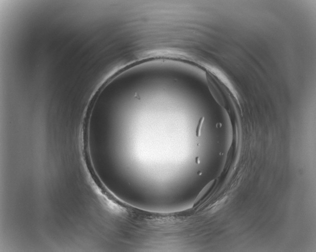 X0000073930999200608111155